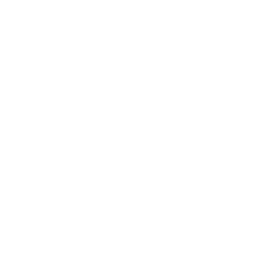 Ferreira Santos Silva